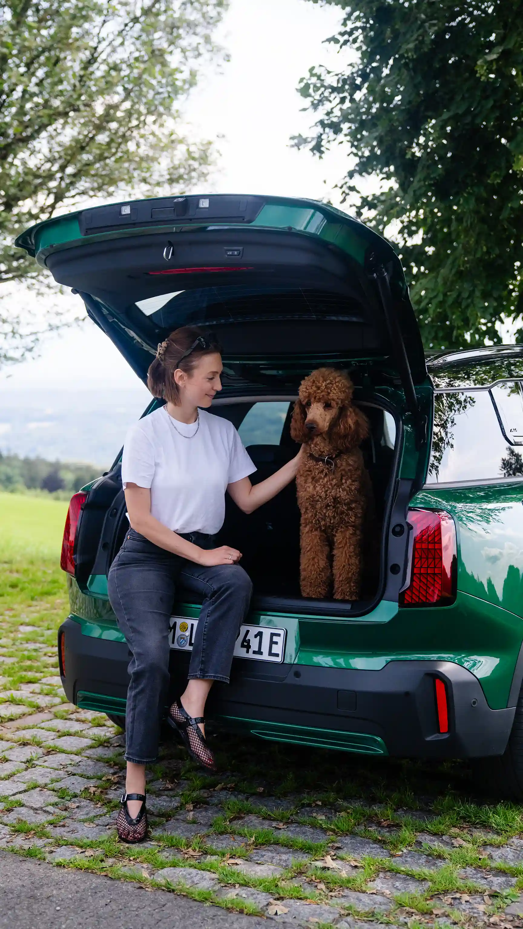 MINI Countryman Electric – Hund im Gepäckraum